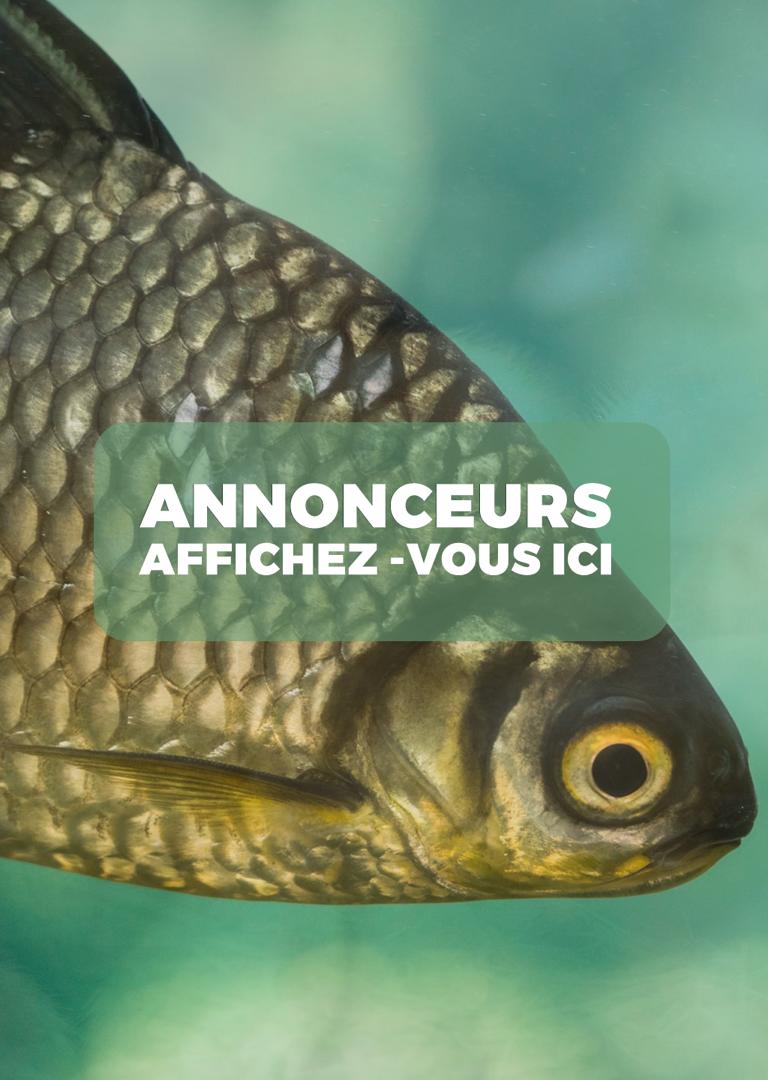 Publicité 1